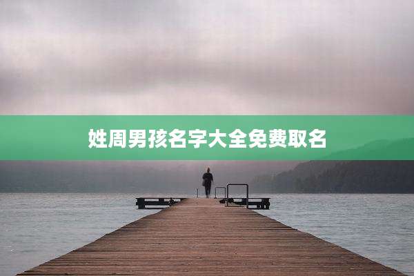 姓周男孩名字大全免费取名