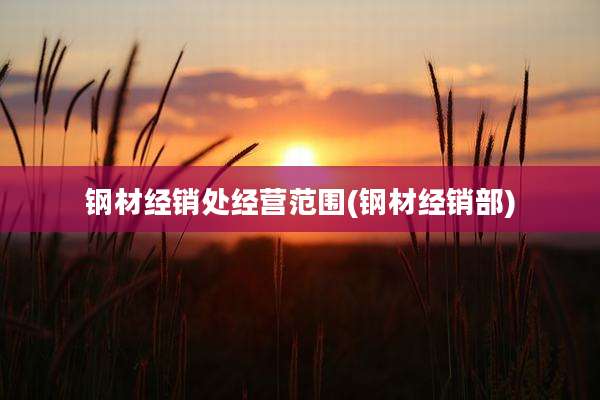 钢材经销处经营范围(钢材经销部)