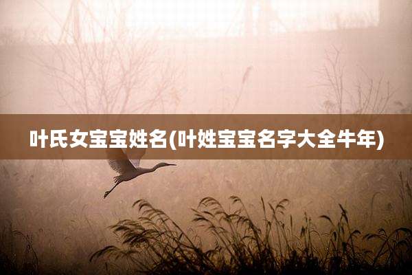 叶氏女宝宝姓名(叶姓宝宝名字大全牛年)