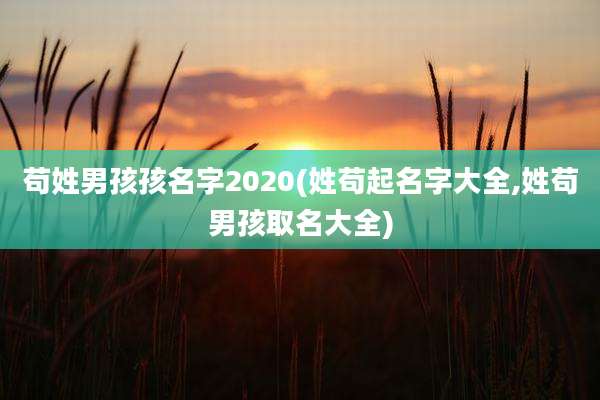 苟姓男孩孩名字2020(姓苟起名字大全,姓苟男孩取名大全)