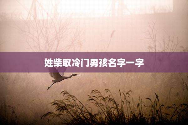 姓柴取冷门男孩名字一字