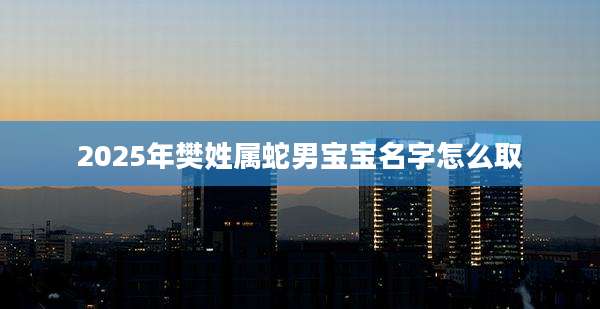 2025年樊姓属蛇男宝宝名字怎么取
