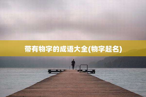 带有物字的成语大全(物字起名)