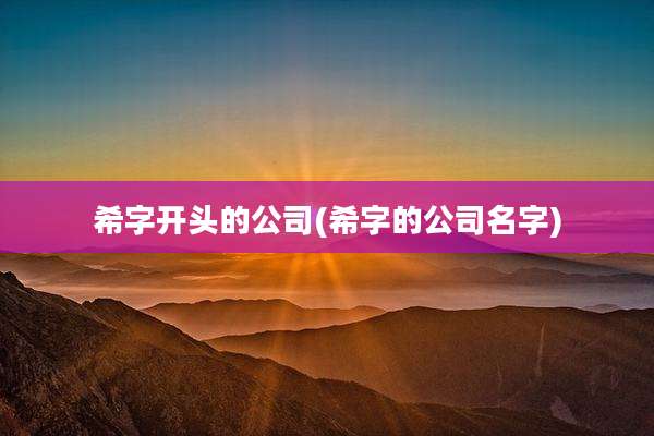 希字开头的公司(希字的公司名字)