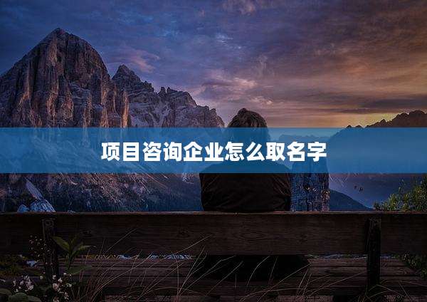 项目咨询企业怎么取名字