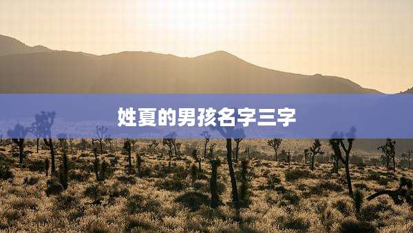 姓夏的男孩名字三字