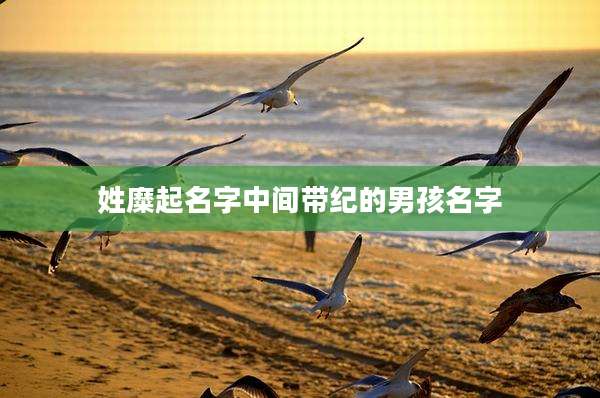 姓糜起名字中间带纪的男孩名字