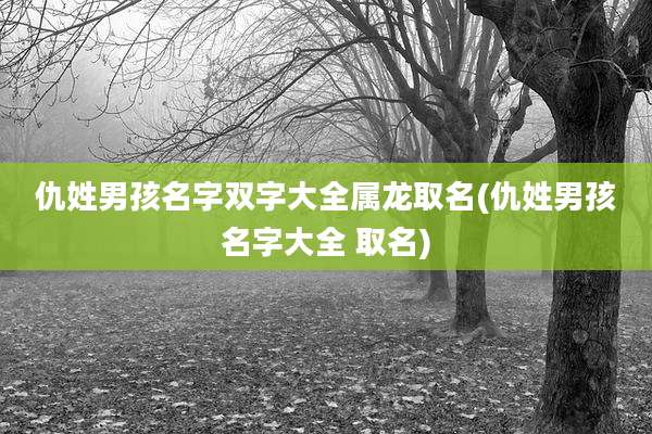 仇姓男孩名字双字大全属龙取名(仇姓男孩名字大全 取名)