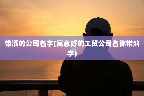 带泓的公司名字(寓意好的工贸公司名称带鸿字)