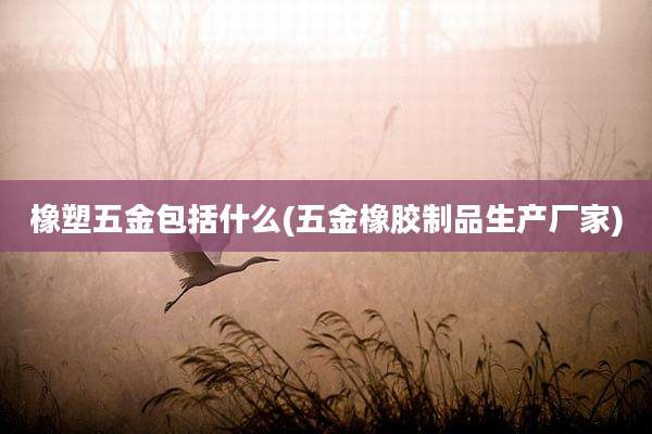 橡塑五金包括什么(五金橡胶制品生产厂家)