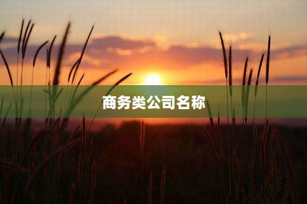 商务类公司名称