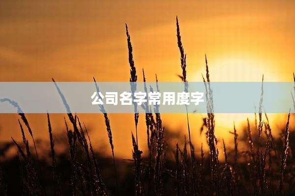 公司名字常用度字
