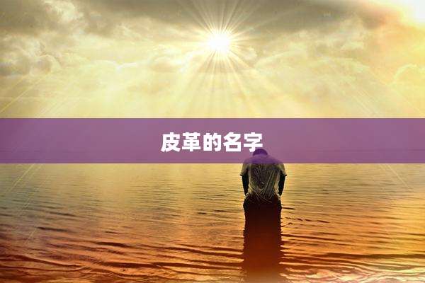 皮革的名字