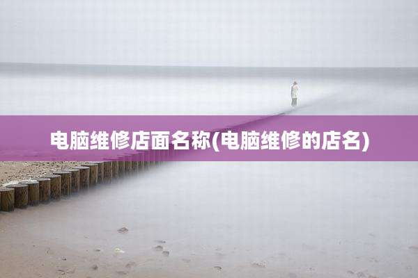 电脑维修店面名称(电脑维修的店名)