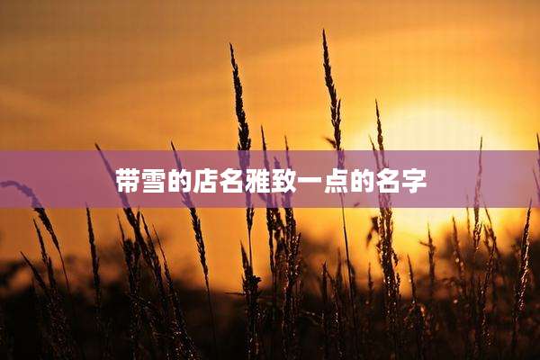 带雪的店名雅致一点的名字