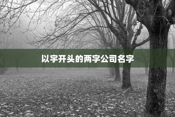 以宇开头的两字公司名字
