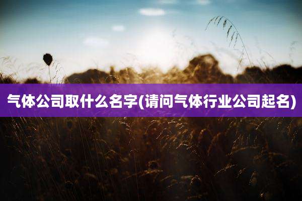 气体公司取什么名字(请问气体行业公司起名)