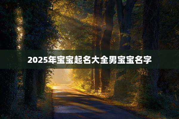 2025年宝宝起名大全男宝宝名字