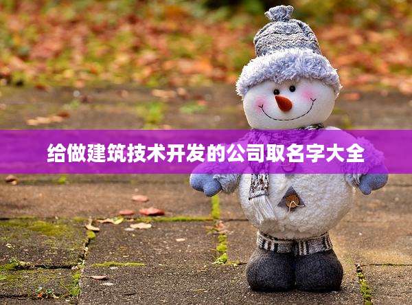 给做建筑技术开发的公司取名字大全