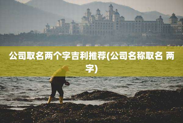 公司取名两个字吉利推荐(公司名称取名 两字)