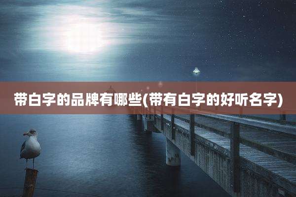 带白字的品牌有哪些(带有白字的好听名字)