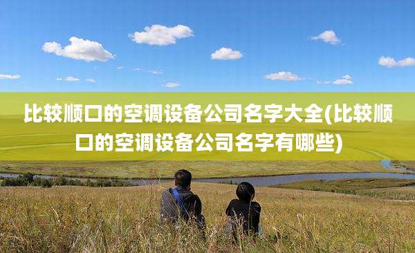 比较顺口的空调设备公司名字大全(比较顺口的空调设备公司名字有哪些)