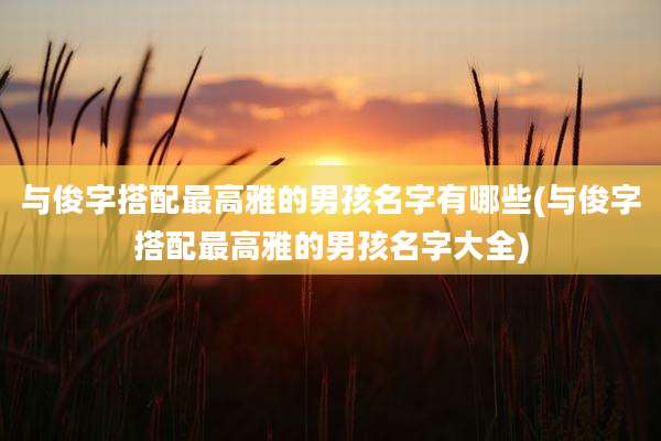 与俊字搭配最高雅的男孩名字有哪些(与俊字搭配最高雅的男孩名字大全)