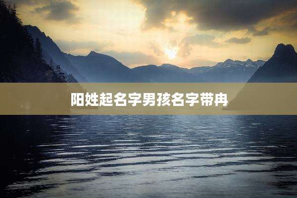 阳姓起名字男孩名字带冉