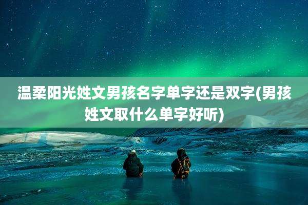 温柔阳光姓文男孩名字单字还是双字(男孩姓文取什么单字好听)
