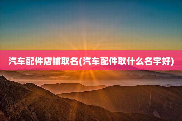 汽车配件店铺取名(汽车配件取什么名字好)