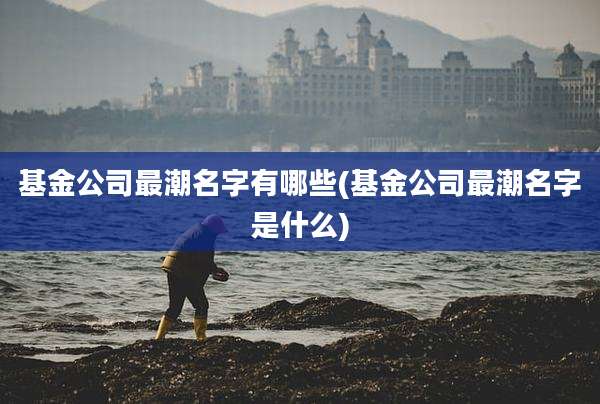 基金公司最潮名字有哪些(基金公司最潮名字是什么)