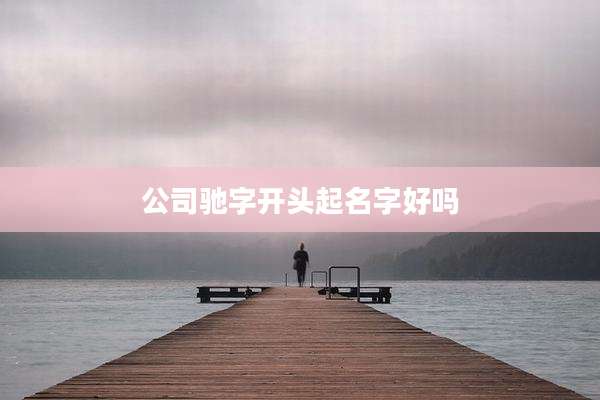 公司驰字开头起名字好吗