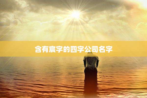 含有宸字的四字公司名字