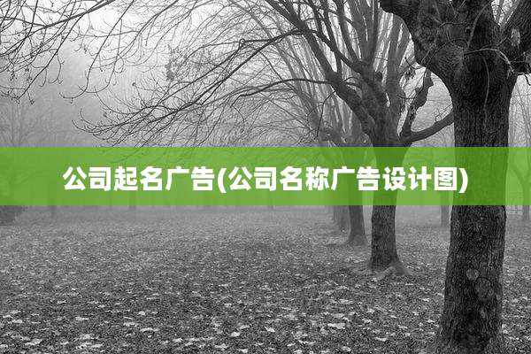 公司起名广告(公司名称广告设计图)