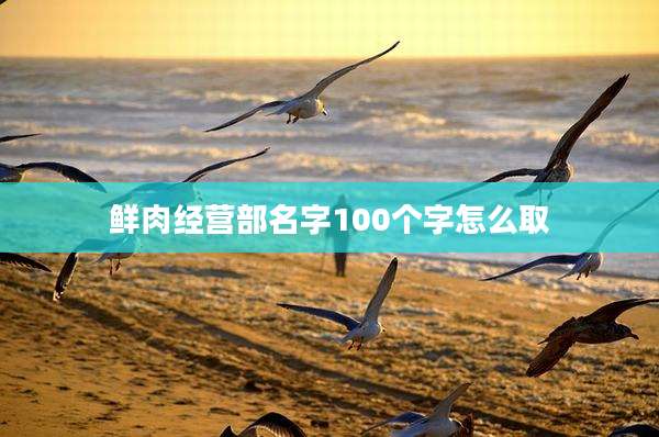 鲜肉经营部名字100个字怎么取
