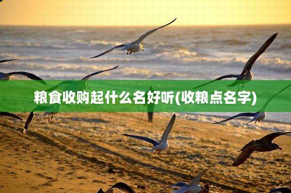 粮食收购起什么名好听(收粮点名字)