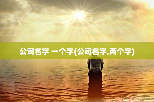 公司名字 一个字(公司名字,两个字)