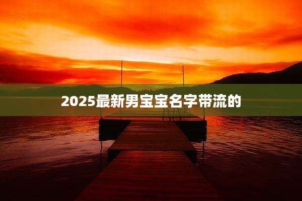 2025最新男宝宝名字带流的
