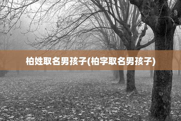 柏姓取名男孩子(柏字取名男孩子)