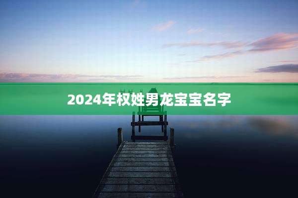 2024年权姓男龙宝宝名字