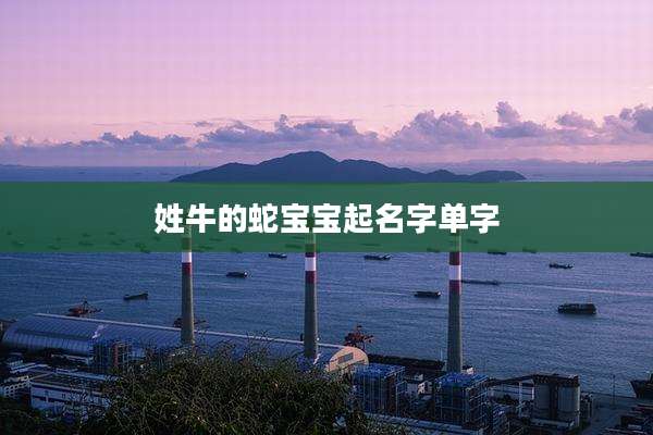 姓牛的蛇宝宝起名字单字