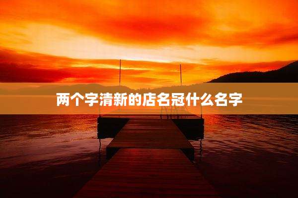 两个字清新的店名冠什么名字