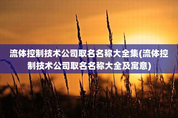 流体控制技术公司取名名称大全集(流体控制技术公司取名名称大全及寓意)