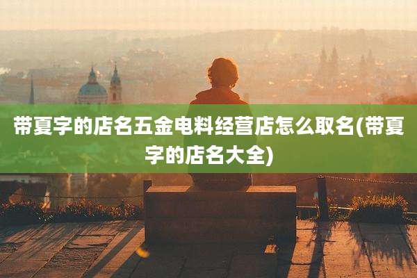 带夏字的店名五金电料经营店怎么取名(带夏字的店名大全)