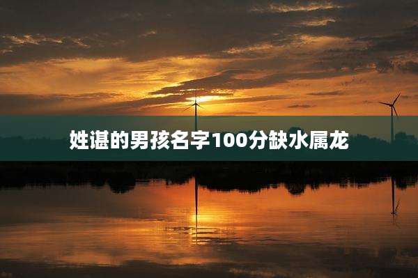 姓谌的男孩名字100分缺水属龙