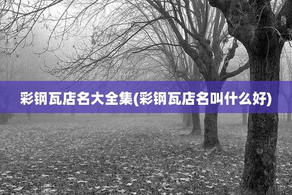 彩钢瓦店名大全集(彩钢瓦店名叫什么好)