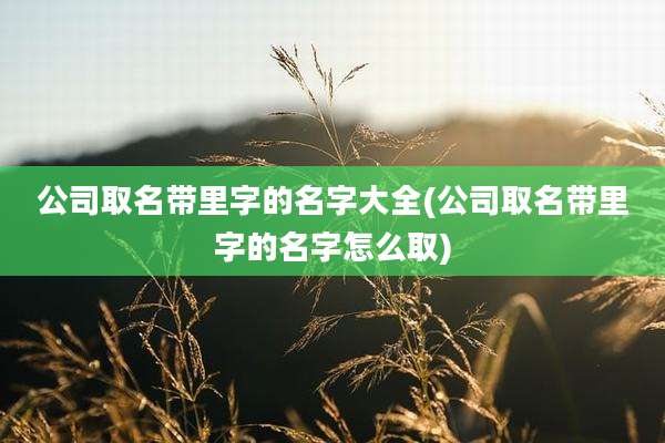 公司取名带里字的名字大全(公司取名带里字的名字怎么取)