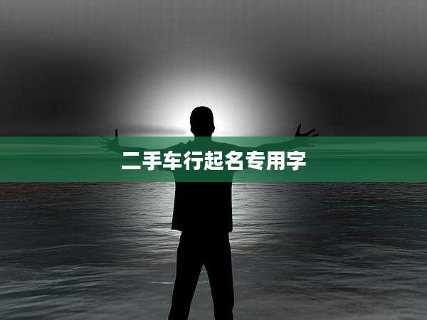 二手车行起名专用字