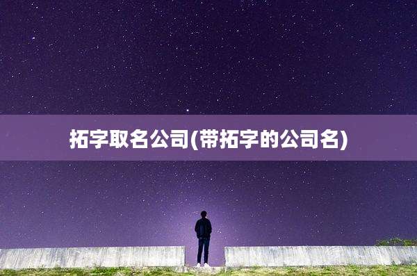 拓字取名公司(带拓字的公司名)