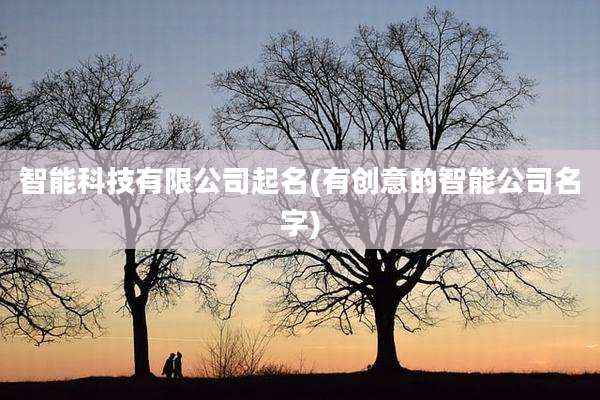 智能科技有限公司起名(有创意的智能公司名字)